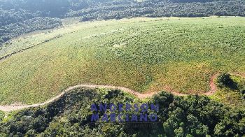 Fazenda à Venda em Pouso Alegre – 66 Alqueires
