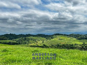 Fazenda à Venda em Miracatu – 61 Alqueires
