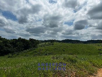 Fazenda à Venda em Miracatu – 61 Alqueires