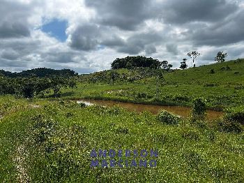 Fazenda à Venda em Miracatu – 61 Alqueires
