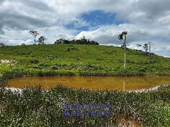 Fazenda à Venda em Miracatu – 61 Alqueires