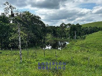 Fazenda à Venda em Miracatu – 61 Alqueires