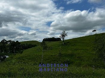 Fazenda à Venda em Miracatu – 61 Alqueires