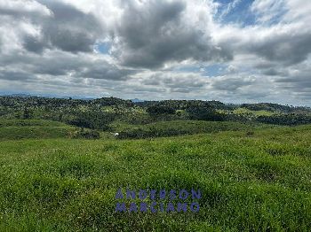 Fazenda à Venda em Miracatu – 61 Alqueires