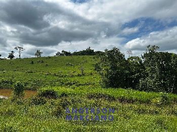 Fazenda à Venda em Miracatu – 61 Alqueires