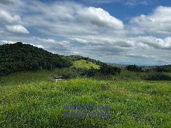 Fazenda à Venda em Miracatu – 61 Alqueires