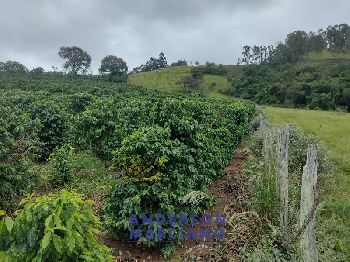 Fazenda à Venda – 12 Alqueires em Jacutinga (MG)
