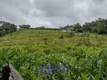 Fazenda à Venda – 12 Alqueires em Jacutinga (MG)