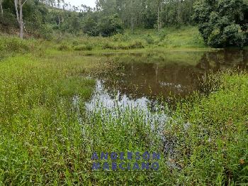 Fazenda à Venda – 12 Alqueires em Jacutinga (MG)