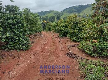 Fazenda à Venda – 12 Alqueires em Jacutinga (MG)