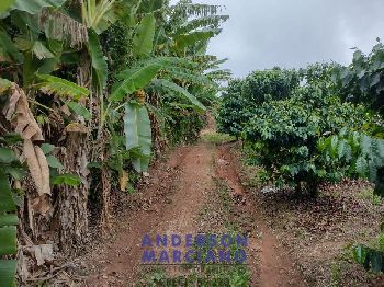 Fazenda à Venda – 12 Alqueires em Jacutinga (MG)