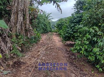 Fazenda à Venda – 12 Alqueires em Jacutinga (MG)