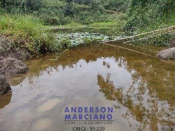 Fazenda à Venda – 12 Alqueires em Jacutinga (MG)