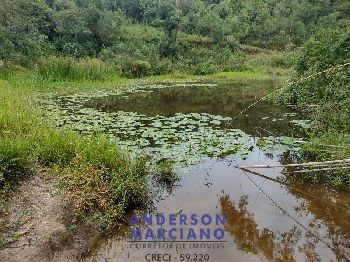 Fazenda à Venda – 12 Alqueires em Jacutinga (MG)