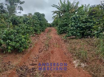 Fazenda à Venda – 12 Alqueires em Jacutinga (MG)