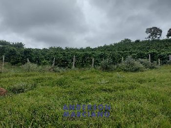 Fazenda à Venda – 12 Alqueires em Jacutinga (MG)