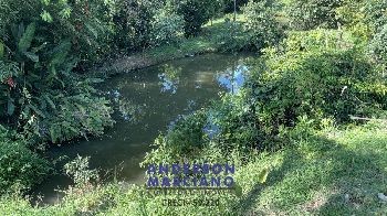 Sítio à Venda – Bairro das Tabaranas – Serra Negra/SP