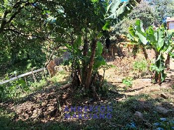 Negócio e Oportunidade – Terreno com 3 casas no Bairro Alto das Palmeiras – Serra Negra/SP