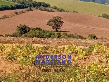 Fazenda à Venda – Região de Santa Rita de Caldas/MG