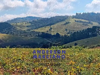 Fazenda à Venda – Região de Santa Rita de Caldas/MG