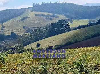 Fazenda à Venda – Região de Santa Rita de Caldas/MG