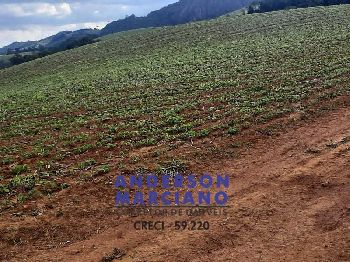Fazenda à Venda – Região de Santa Rita de Caldas/MG