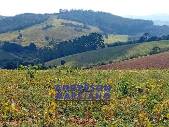 Fazenda à Venda – Região de Santa Rita de Caldas/MG