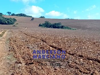 Fazenda à Venda – Região de Santa Rita de Caldas/MG