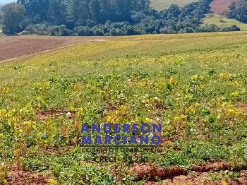 Fazenda à Venda – Região de Santa Rita de Caldas/MG