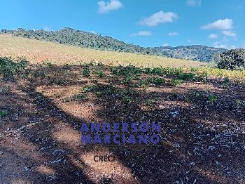 Fazenda à Venda – Região de Santa Rita de Caldas/MG