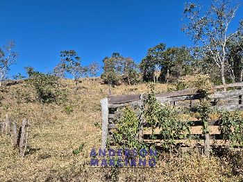 Sítio à Venda – 15 Alqueires
