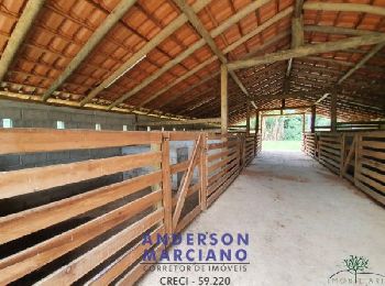 Sítio a venda em Ouro Fino/MG