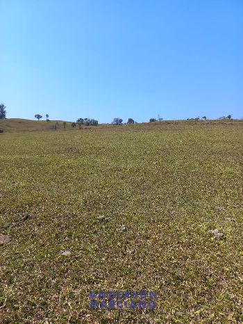 Fazenda à Venda – Itapira/SP