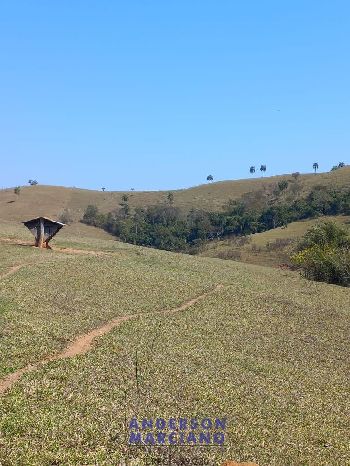 Fazenda à Venda – Itapira/SP