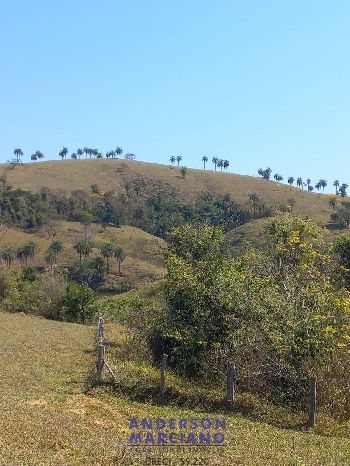 Fazenda à Venda – Itapira/SP