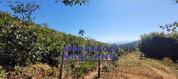 Fazenda de Café em Jacutinga