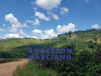 Sítio à Venda – Serra Negra / Monte Alegre do Sul