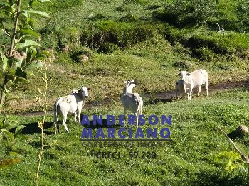 Sítio à Venda – 22 Alqueires | Região do Circuito das Águas Paulista