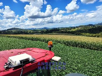 Fazenda à Venda – Serra Negra/SP