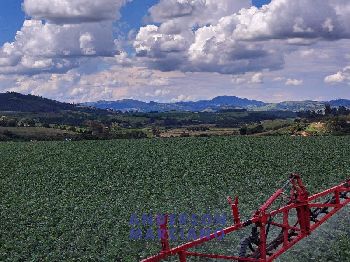 Fazenda à Venda – Serra Negra/SP