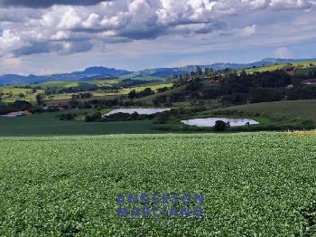 Fazenda à Venda – Serra Negra/SP
