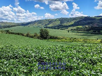 Fazenda à Venda – Serra Negra/SP