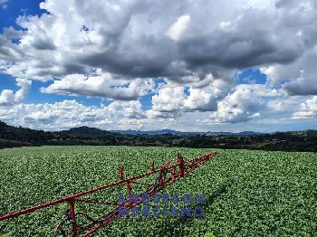 Fazenda à Venda – Serra Negra/SP